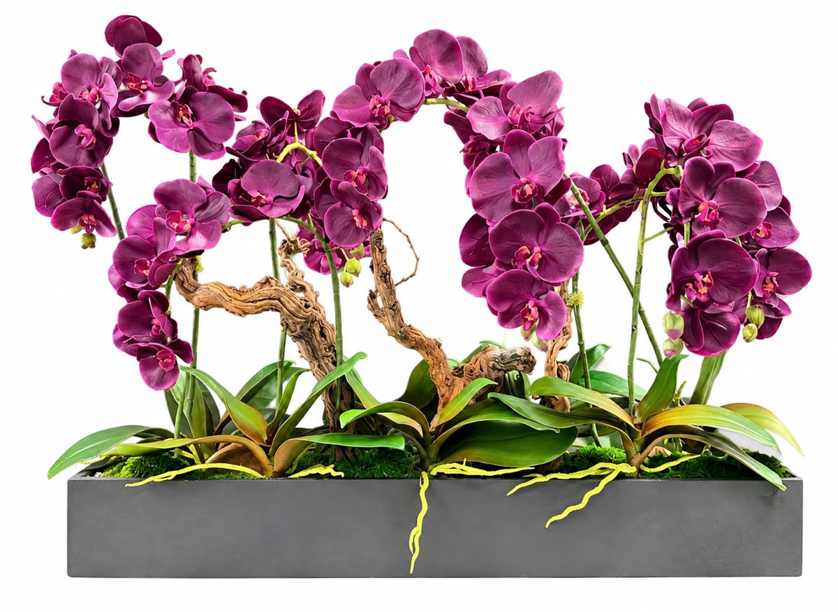 Real Touch Magenta Orchid – 36” × 26”