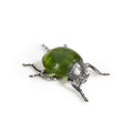 Decorative Green Ladybug