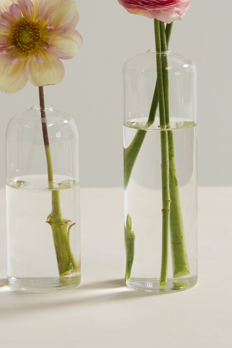 Highball Budvase 2.25" x 8"